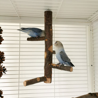 Jouet en bois pour perroquet et oiseau