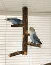 Parrot Bird Wood Stand Pole Toy