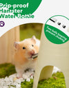 Cozy Hamster Oasis Water Bottle