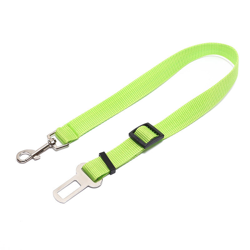 PetGuard SecureRide Leash