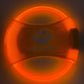 GlowFetch Illuminated Dog Disc