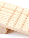 Focus on Wooden Seesaw for Hamsters