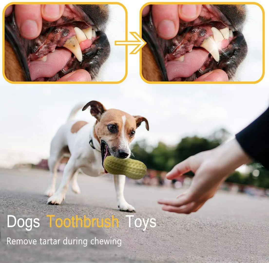 Peanut-Shaped Squeaky Dog Toy