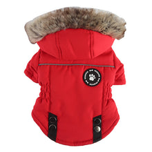 PawCozy Winter Warmth Jacket
