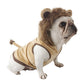 Lion Costume – Perfect for Halloween!