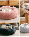 Ultra-Soft Plush Bed