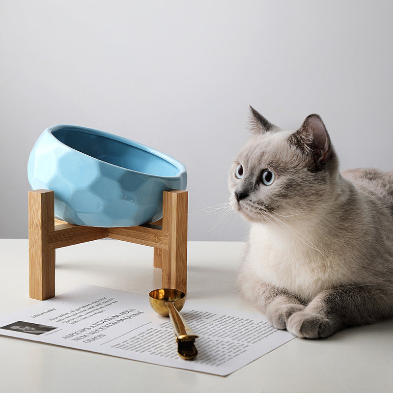 Oblique Cat Bowl