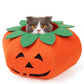 Halloween Pumpkin Pet Collar - Cute Cosplay Accessory