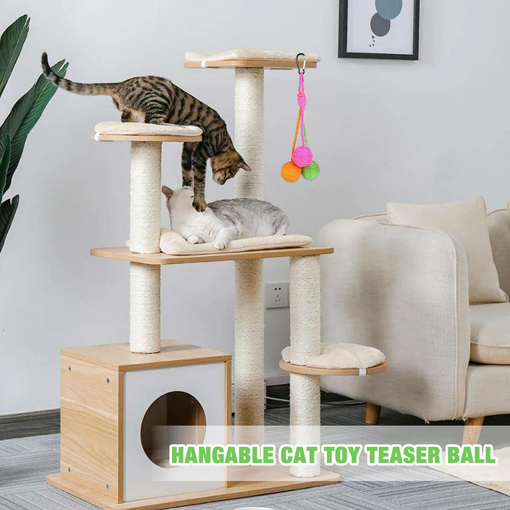 Chewable Kitten Toy Ball