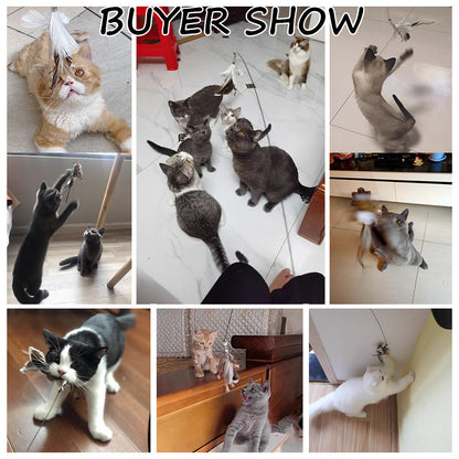 Ultimate Cat Teaser Wand