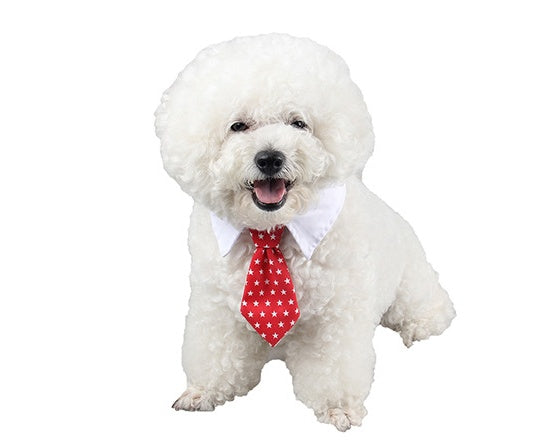 Stylish Pet Ties