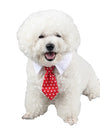 Stylish Pet Ties