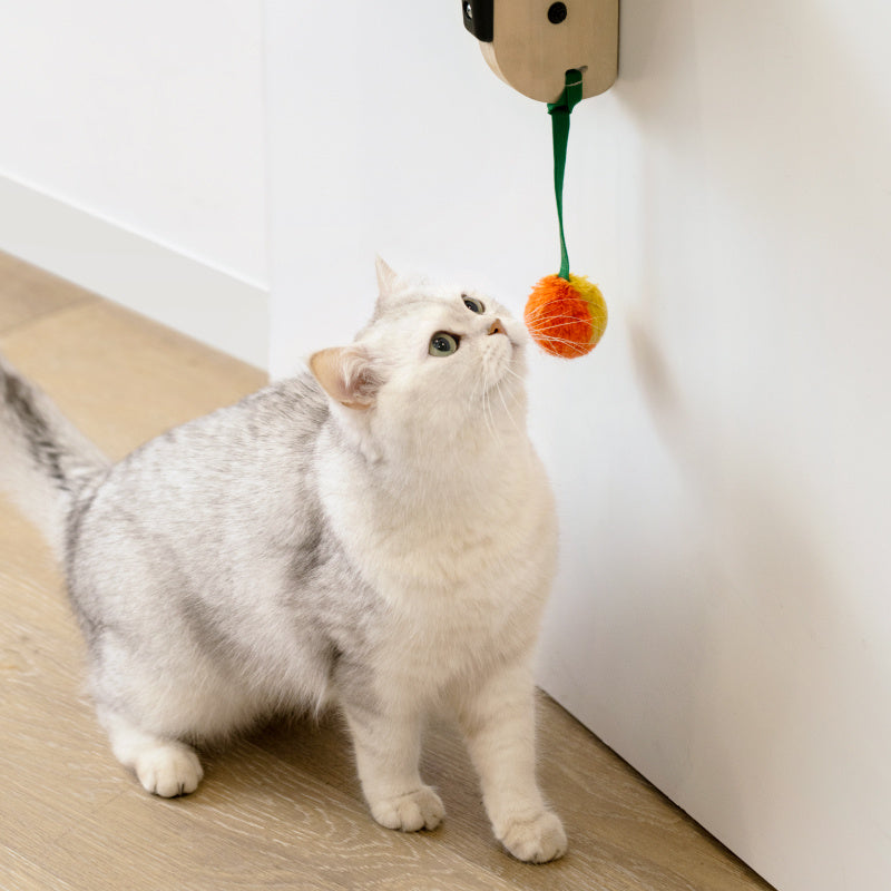 Vertical Door Mounted Cat Shelves