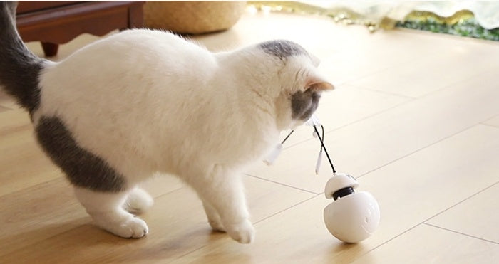 Interactive Cat Robot Tumbler