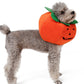 Halloween Pumpkin Pet Collar - Cute Cosplay Accessory