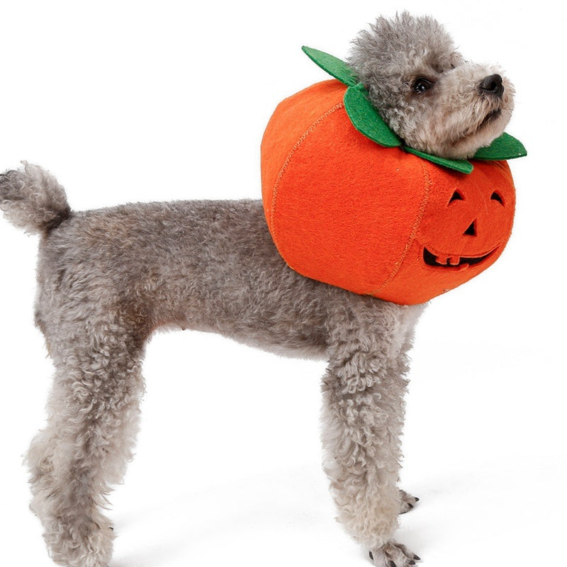 Halloween Pumpkin Pet Collar - Cute Cosplay Accessory