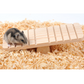 A hamster on a Wooden Seesaw for Hamsters