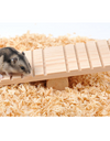 A hamster on a Wooden Seesaw for Hamsters