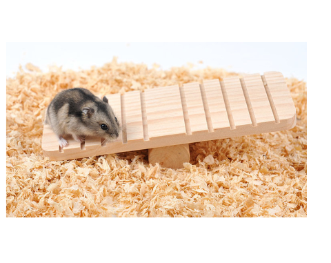 A hamster on a Wooden Seesaw for Hamsters