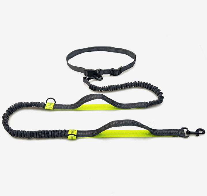 Multi-Function Running Reflective Pull Leash