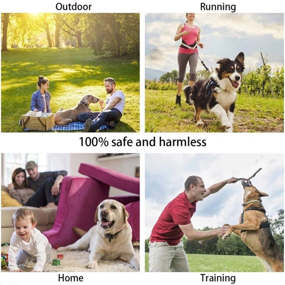 Ultrasonic Anti-Dog Barking Trainer