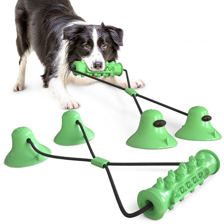 Suction Cup Dog Chew Toy