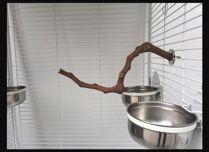 Support pour perroquet en vigne naturelle