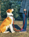 Reflective Nylon Dog Leash