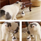 Interactive Cat Robot Tumbler