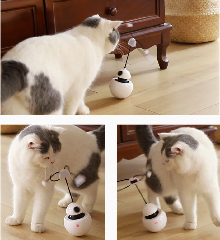 Interactive Cat Robot Tumbler