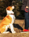 PetPro Telescopic Retractable Leash