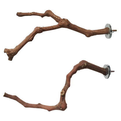 Support pour perroquet en vigne naturelle