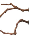 Natural Vine Parrot Stand Pole