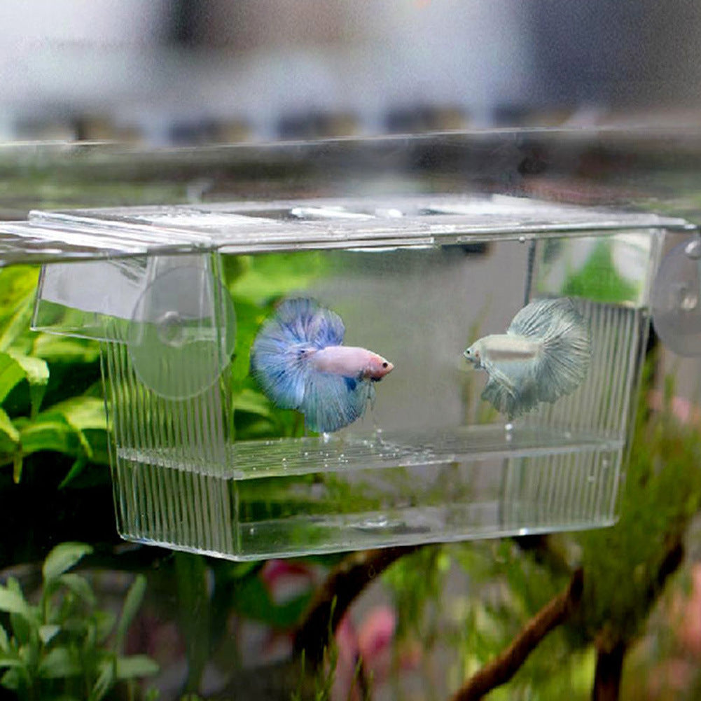 Acrylic Fish Tank Incubation Box