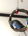 Rattan Bird Chewing Ring