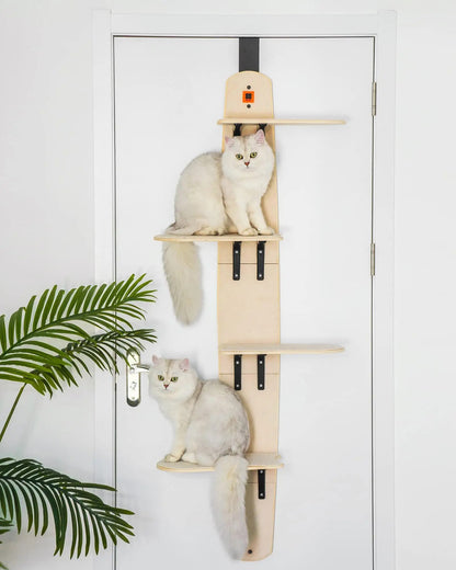 Vertical Cat Door Climber