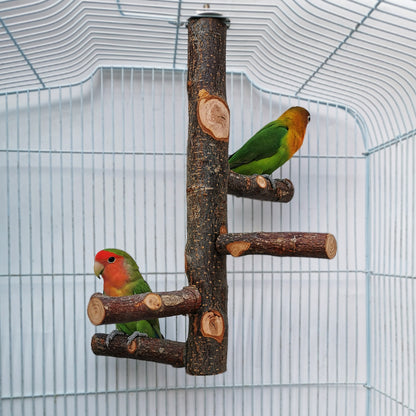 Jouet en bois pour perroquet et oiseau