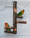 Parrot Bird Wood Stand Pole Toy