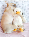 CuddleQuack Plush Dog Toy