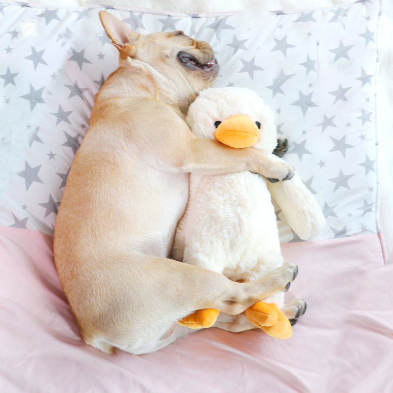 CuddleQuack Plush Dog Toy