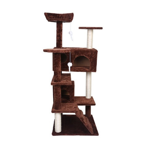 Luxury Villa Cat Climbing Tree