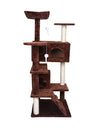 Luxury Villa Cat Climbing Tree