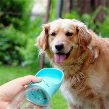 Distributeur d'eau pour animaux EasyPour