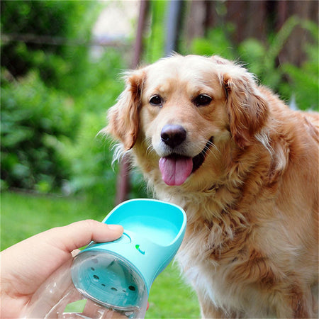 EasyPour Pet Water Dispenser