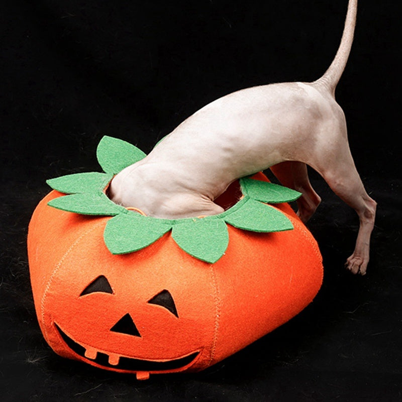 Halloween Pumpkin Pet Collar - Cute Cosplay Accessory