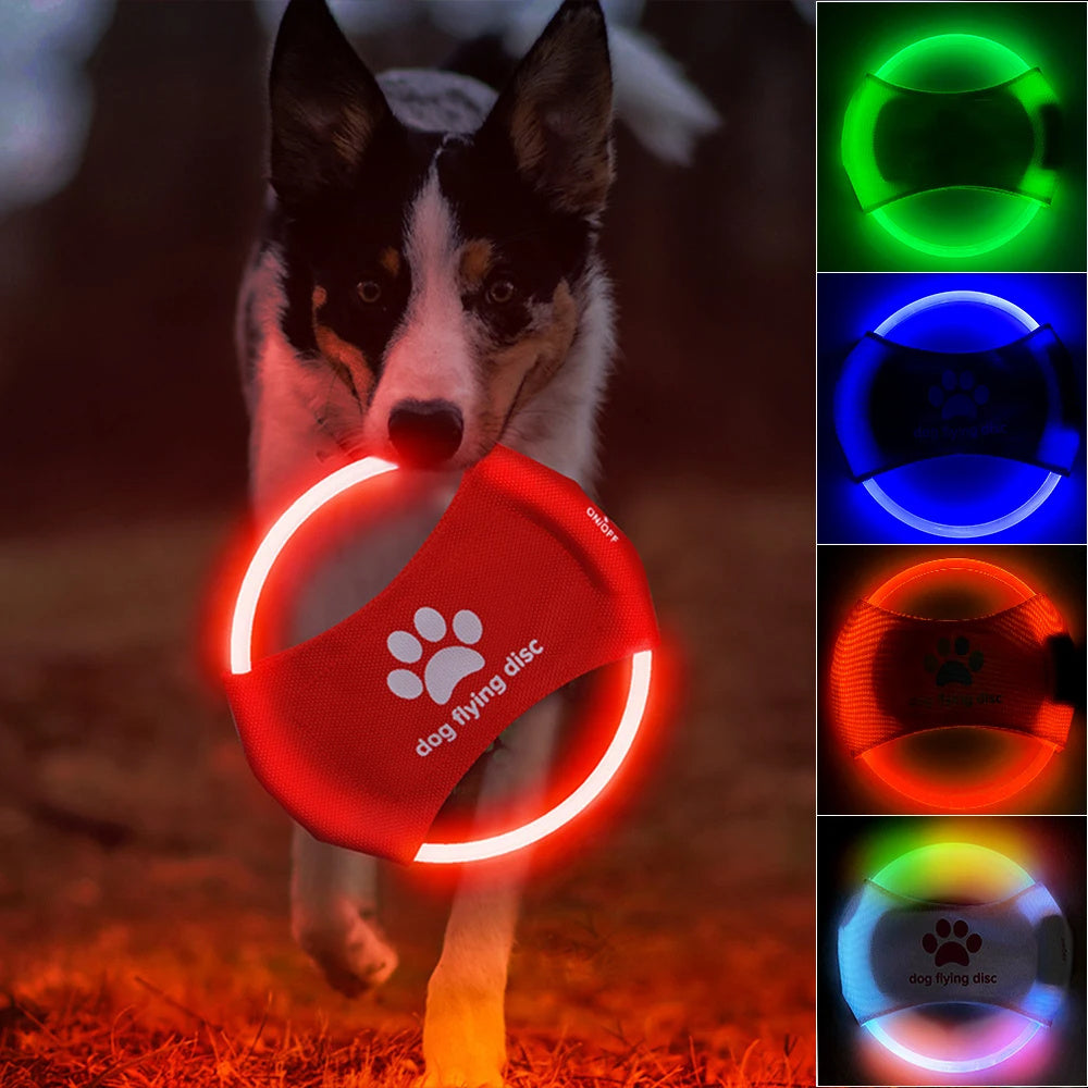 GlowFetch Illuminated Dog Disc