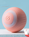 USB Rechargeable Rolling Ball Pet Toy