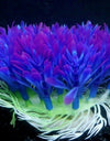 Purple Round Grass Aquarium Decoration