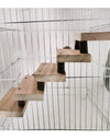 Log Stairs Bird Toy