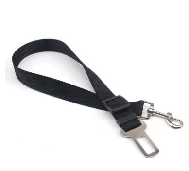 PetGuard SecureRide Leash